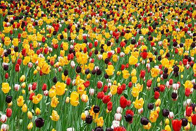 《对马岛之鬼》Steam下架后 未能入围销量榜Top 10