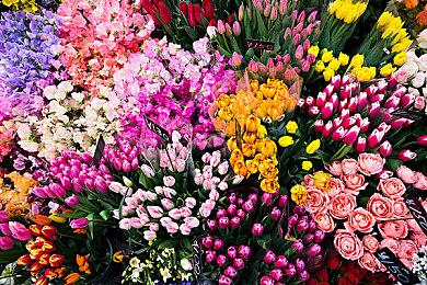 Fami通新作评分公布：《艾尔登法环：黑夜君临》差一分进入白金殿堂！